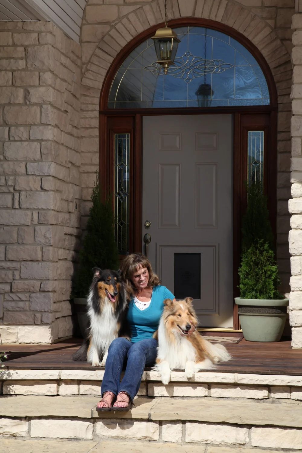 PetSafe Single Panel Replacement Pet Door Insert with Paintable Frame Specifically Designed for Panel Doors, Durable Plastic Frame, Snap-On Closing Panel, Up to 220 lbs