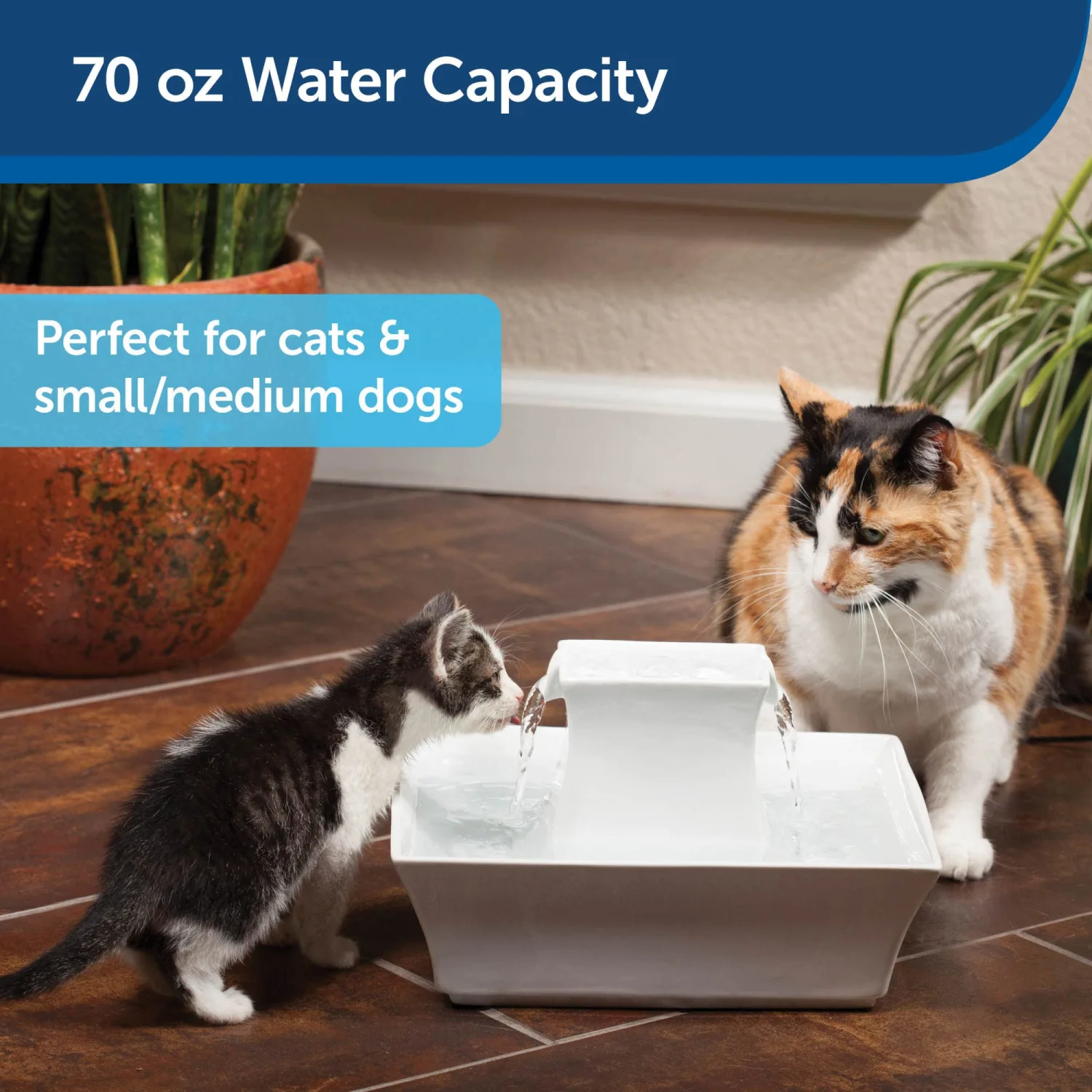 PetSafe Drinkwell Pagoda Pet Fountain - From in Knoxville, TN - Dog Water Bowl Dispenser - Multiple Angles to Drink From - Filters Included - Dog Fountain Provides Water When Power’s Out - White