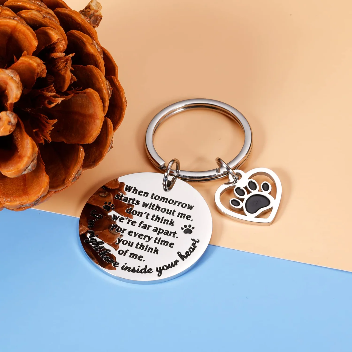 Pet Memorial Gifts When Tomorrow Starts Without Me Dog Cat Remembrance Keychain Loss of Dog Pup Puppy Sympathy Gifts for Men Women Pet Lover Owner Friends Rainbow Bridge Paw Print Presents