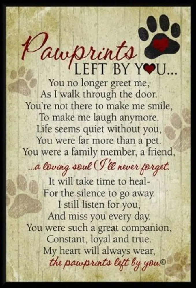 Pawprints Left By You Pet Memorial Plaque - Remembrance Offering For Grieving Pet Owner