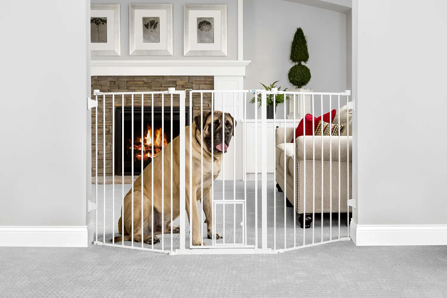 Carlson Extra-Tall Flexi Pet Gate