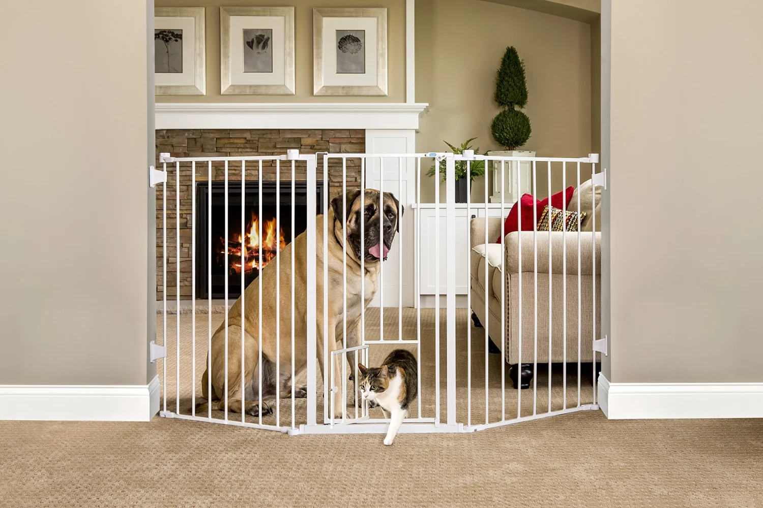 Carlson Extra-Tall Flexi Pet Gate