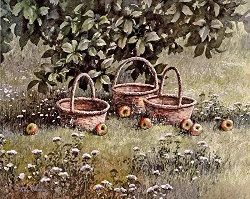 Apples and Baskets print of Watercolor Painting - Nature, Fruits, Peaceful Gifts, Gift for Ladies