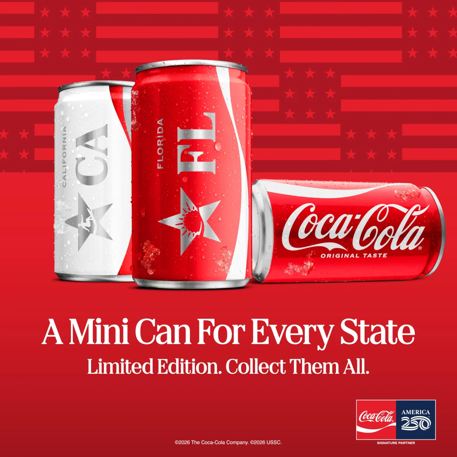 Coca-Cola Soda Soft Drink Bottles, 16.9 fl oz, 6 Pack
