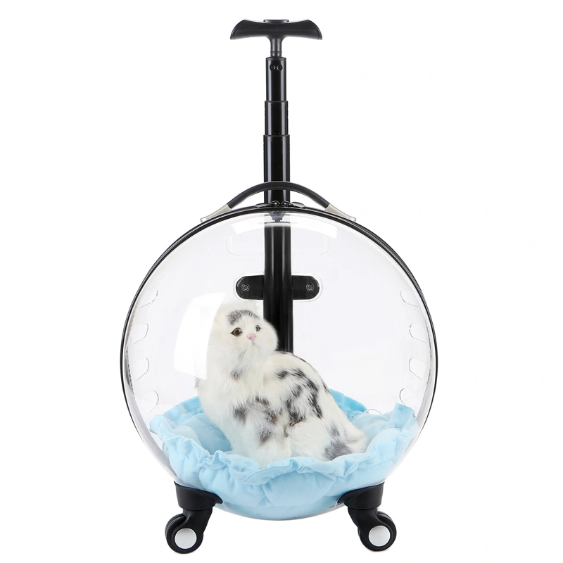 Cat Bag Trolley Case For Pets To Go Out With Bubble Box Transparent Space Capsule