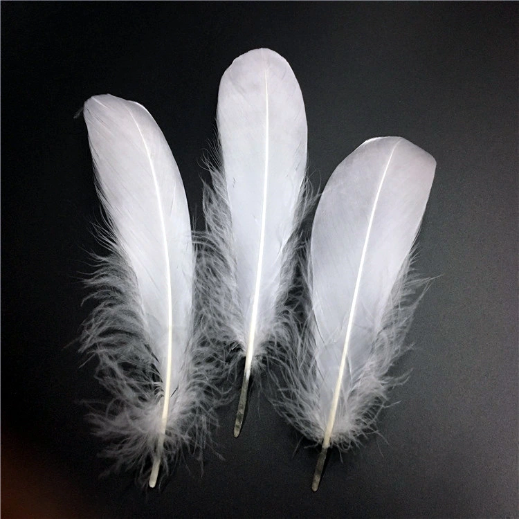 DIY Big Fluffy Colorful Feathers