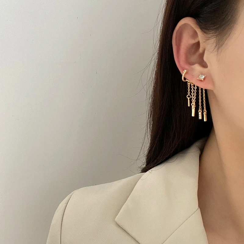 Korean Temperament High-end Earrings With Micro-set Zircon Tassel