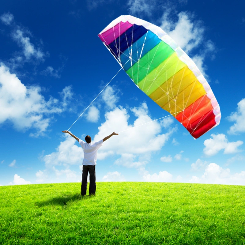 Two-line software rainbow kite