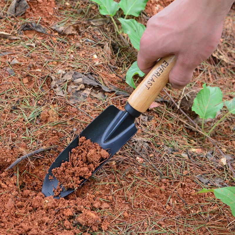 Balcony Vegetable Gardening Shovel Beech Black Scale