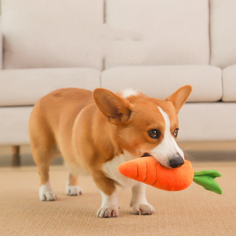 Pet Dog Carrot Shape Bite-resistant Molar Sounding Toy