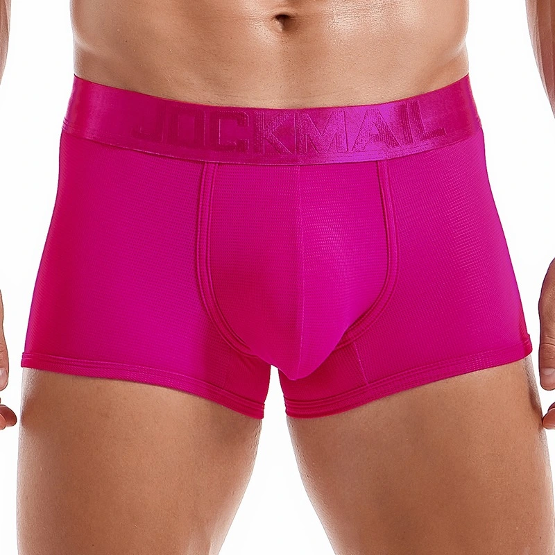 Men's Casual Boxer Breathable Mesh Quick Dry Shorts