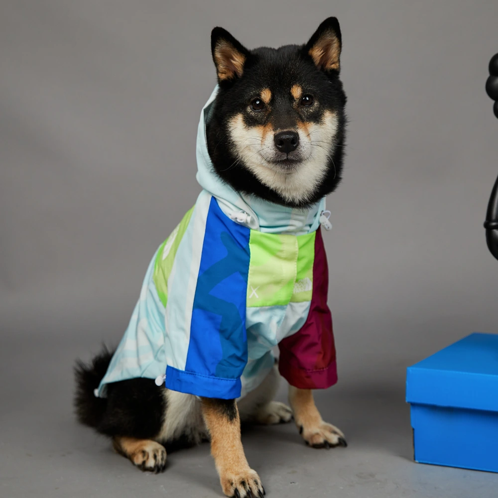 Weatherproof New Dog Raincoat Pet Jacket