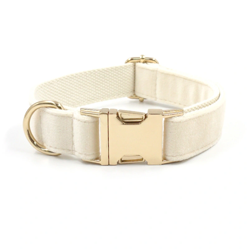 Cream Tufted Dog Collar Gold Buckle