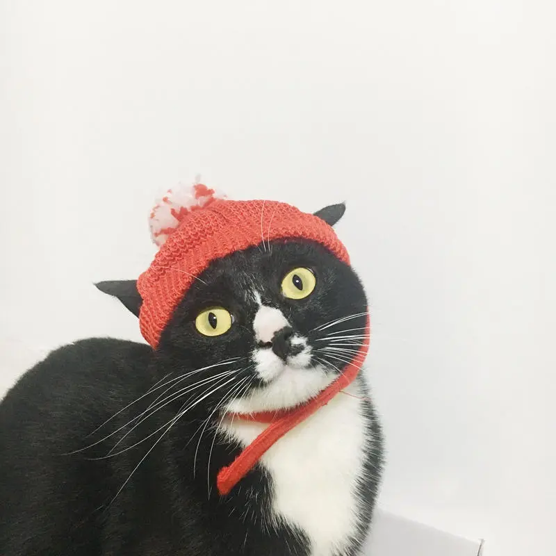 Red Festive Sweater Hat Christmas New Year Series