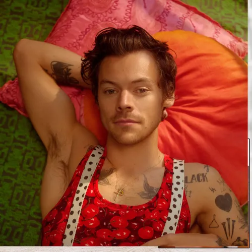 Pillow Harry Styles