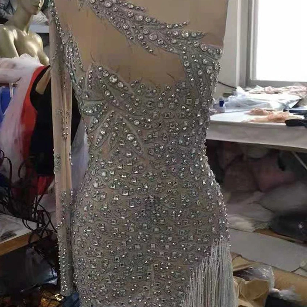 Female Song Catwalk Rhinestone Fringed Mesh Stretch Dress