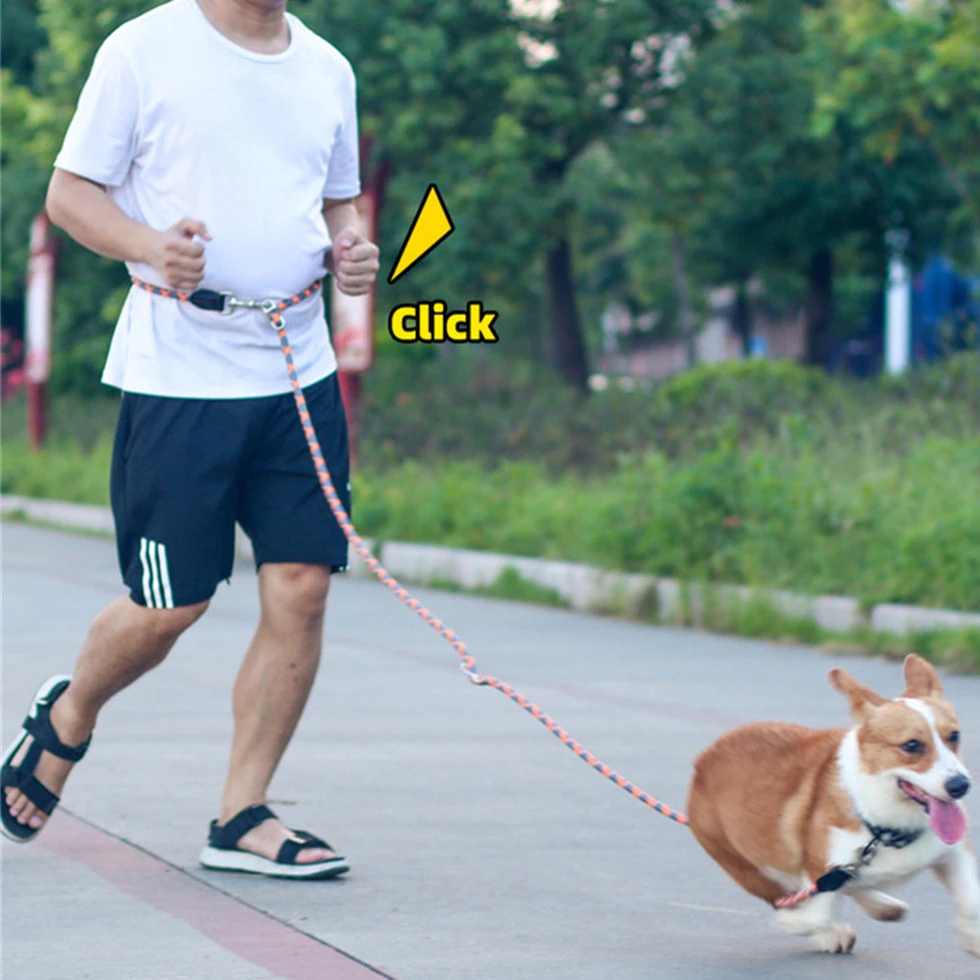 Multifunctional Oblique Cross Waist Running Pet Dog Traction Rope Chain