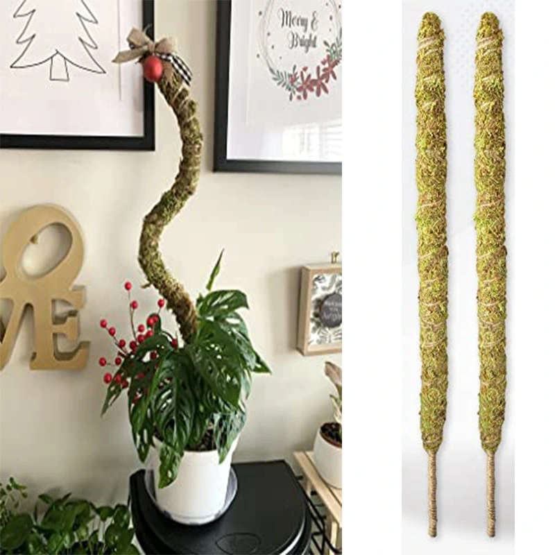 Shapeable Moss Stick Potted Plant Climbing