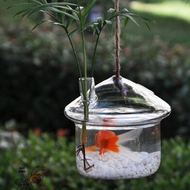 Creative Plant Hydroponic Glass Fish Tank Bottle