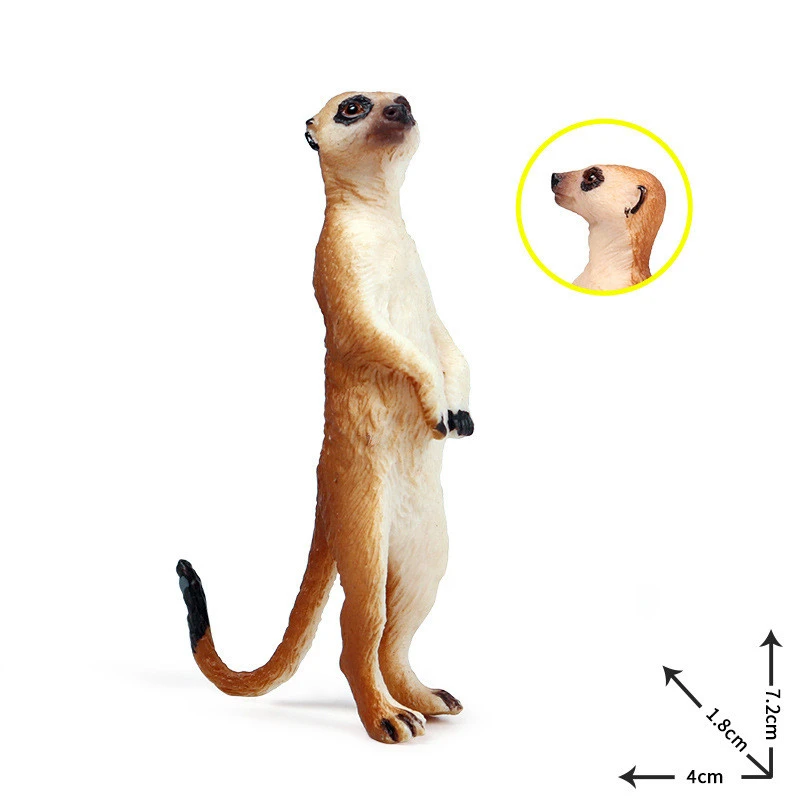 Solid Simulation Wild Animal Model Toys Fox, Thin Tail, Mongoose, Gray Claw Raccoon, Children's Model Decoration