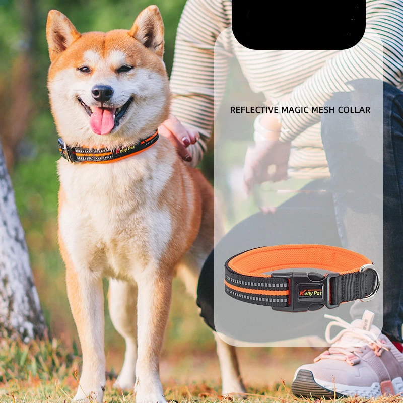 Breathable Mesh Nylon Dog Collar