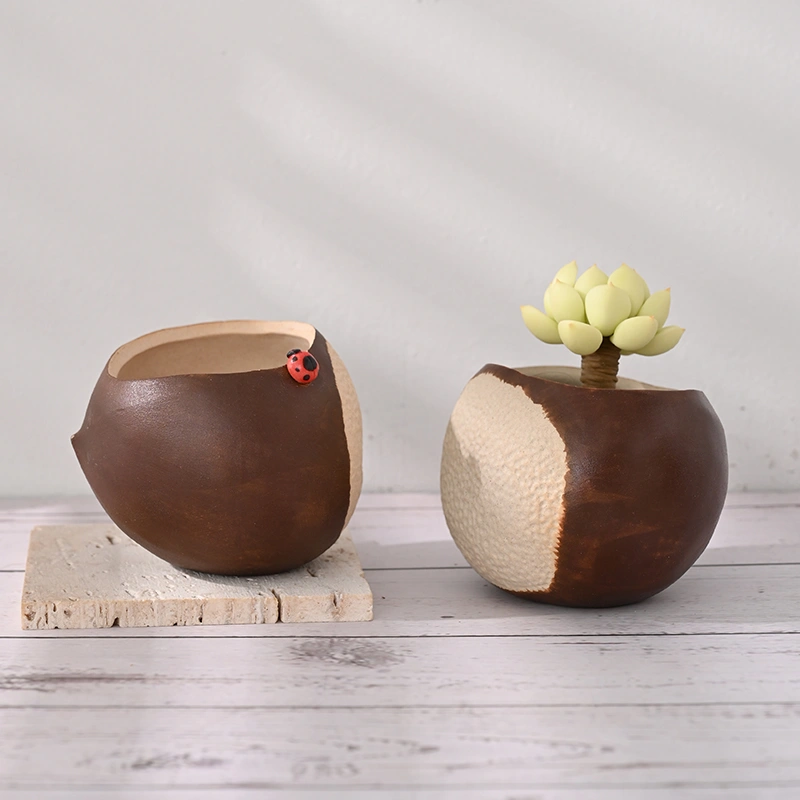 Household Lovely Flowerpot With Rich Flesh And Chestnut