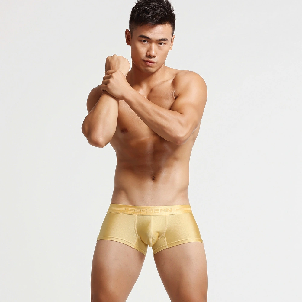 Men's Fashion Solid Color Nylon Flat Briefs