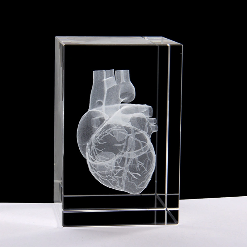 Heart Model Transparent Creative Gift Opening