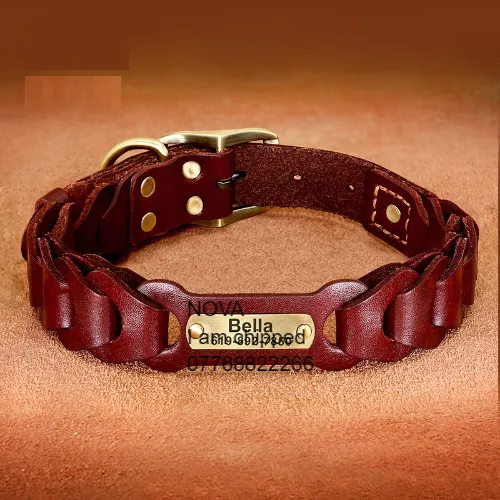 Leather Dog Collar Vermoile