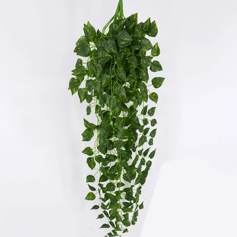 Green plants hanging on the wall decorated with green dill