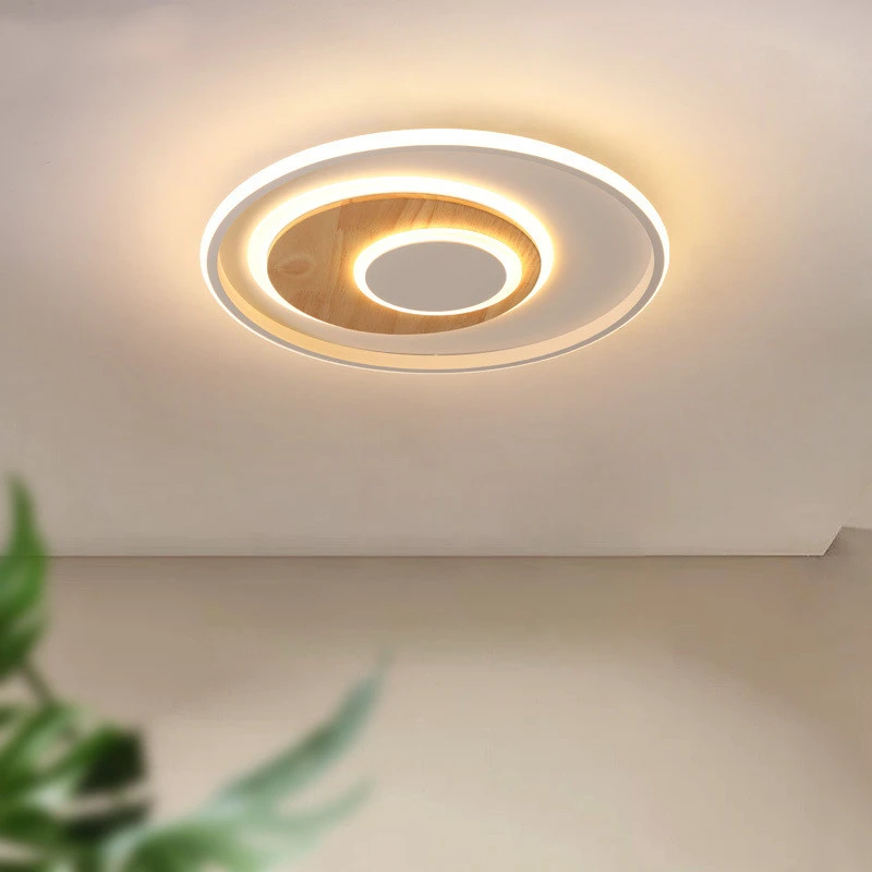 Modern Minimalist Personality Room Ceiling Light