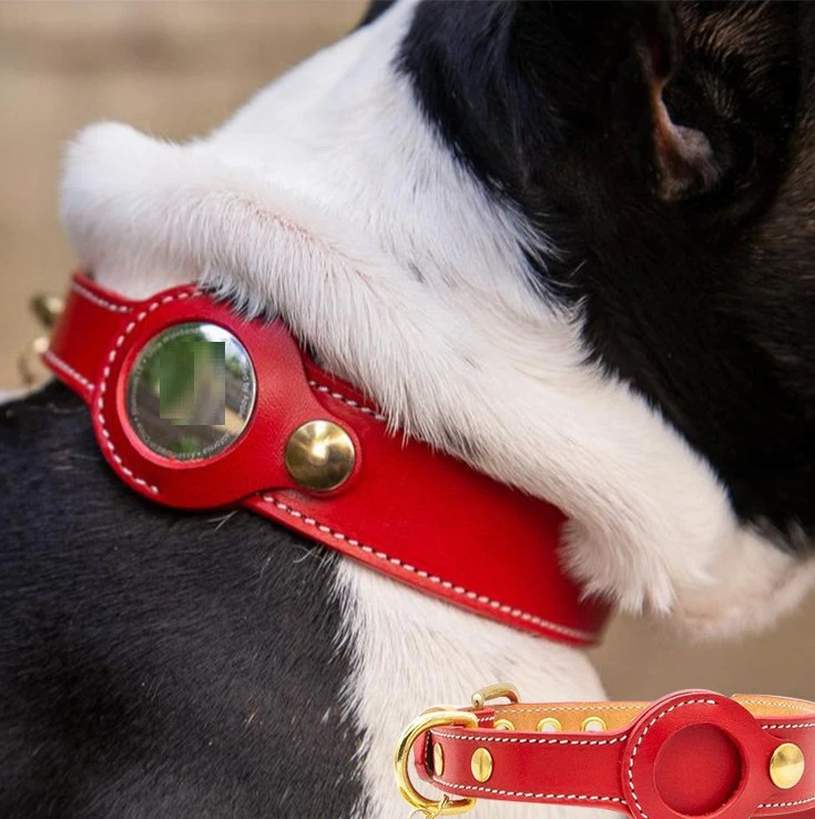 Fruit Tracker Collar Dog Positioning Collar Protective Leather Case