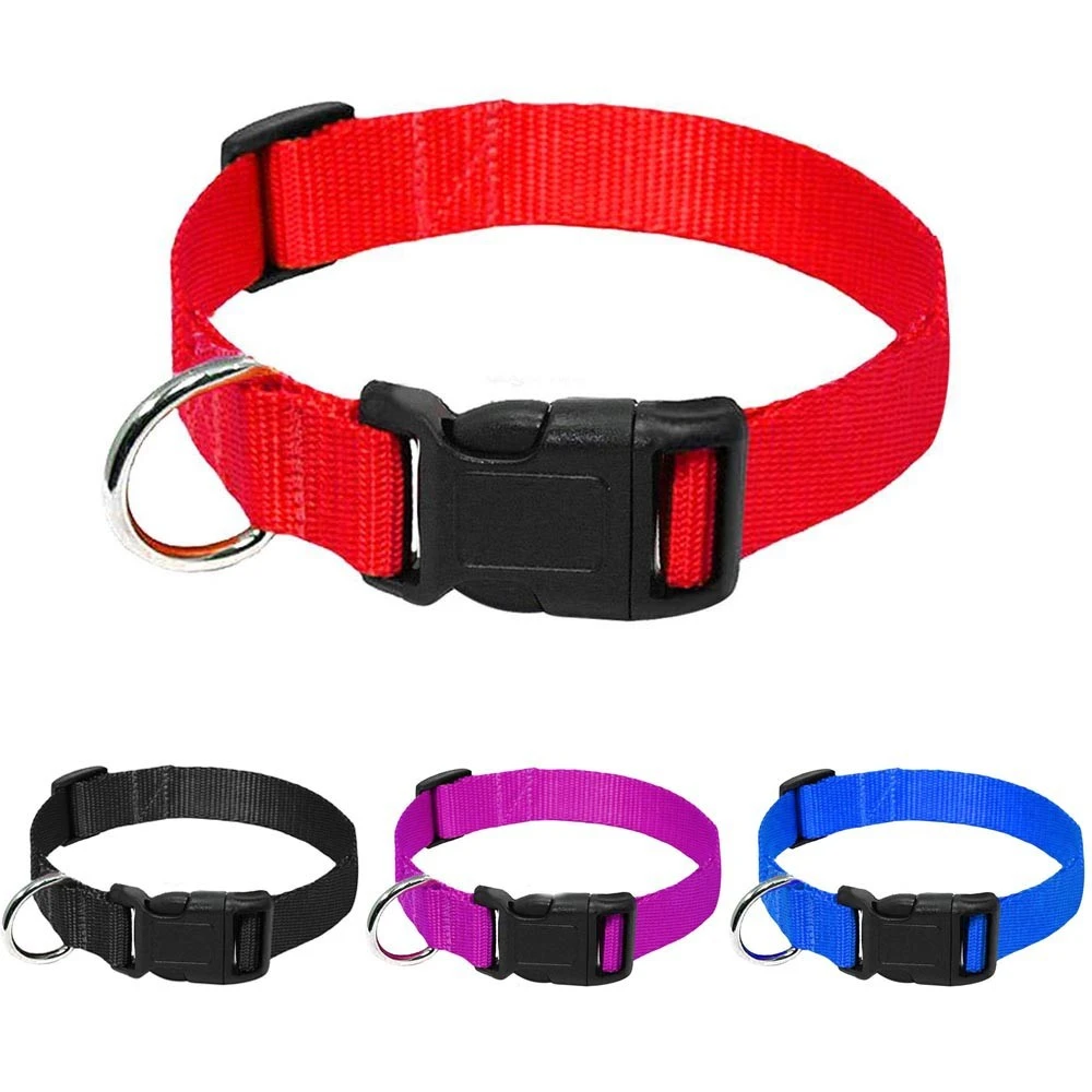 Durable Nylon Collar Dog Leash