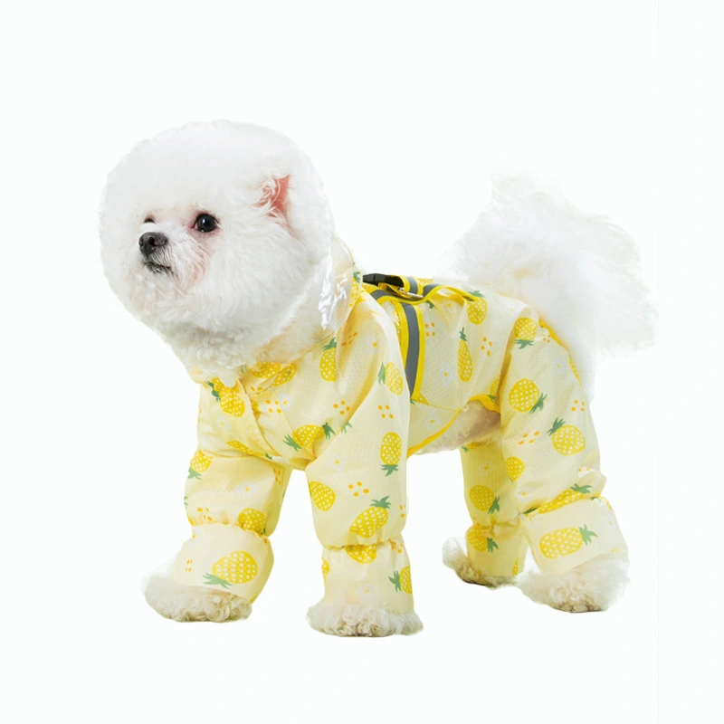 Fruit Printed Puppy Waterproof Raincoat