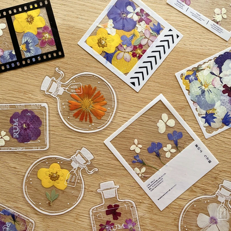 Dry Flower Bookmark Transparent Vial Material Package