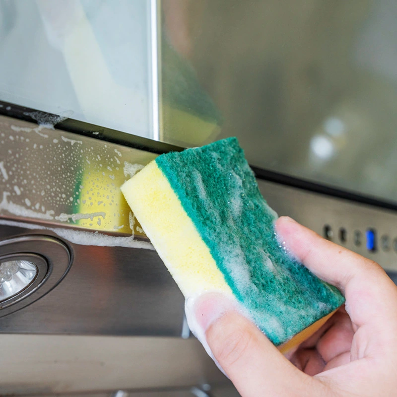 Scouring Pad Double-sided Cleaning Sponge Brush