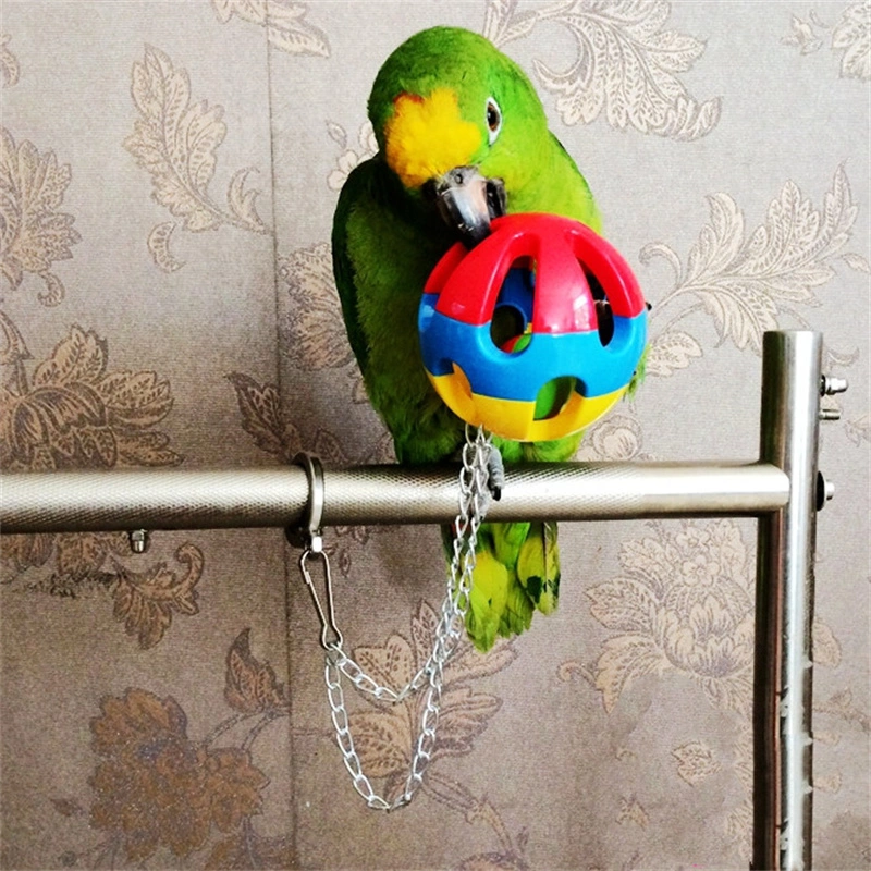 Household Fashion Simple Parrot Toy Ball