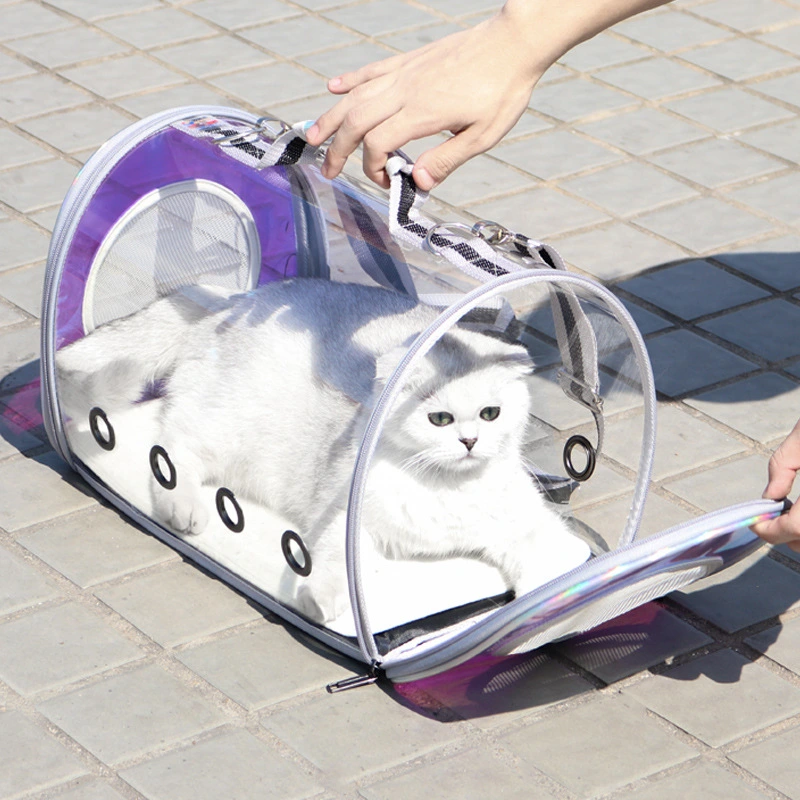 Fashionable Cat Pet Out Laser Transparent Bag