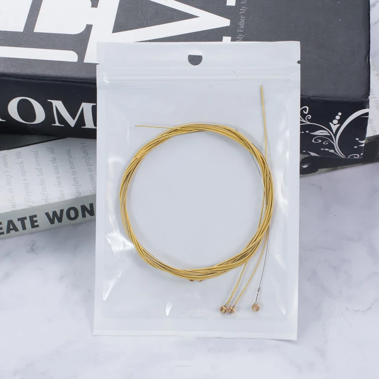 Acoustic Guitar Color Strings Acoustic Guitar Steel Strings 6