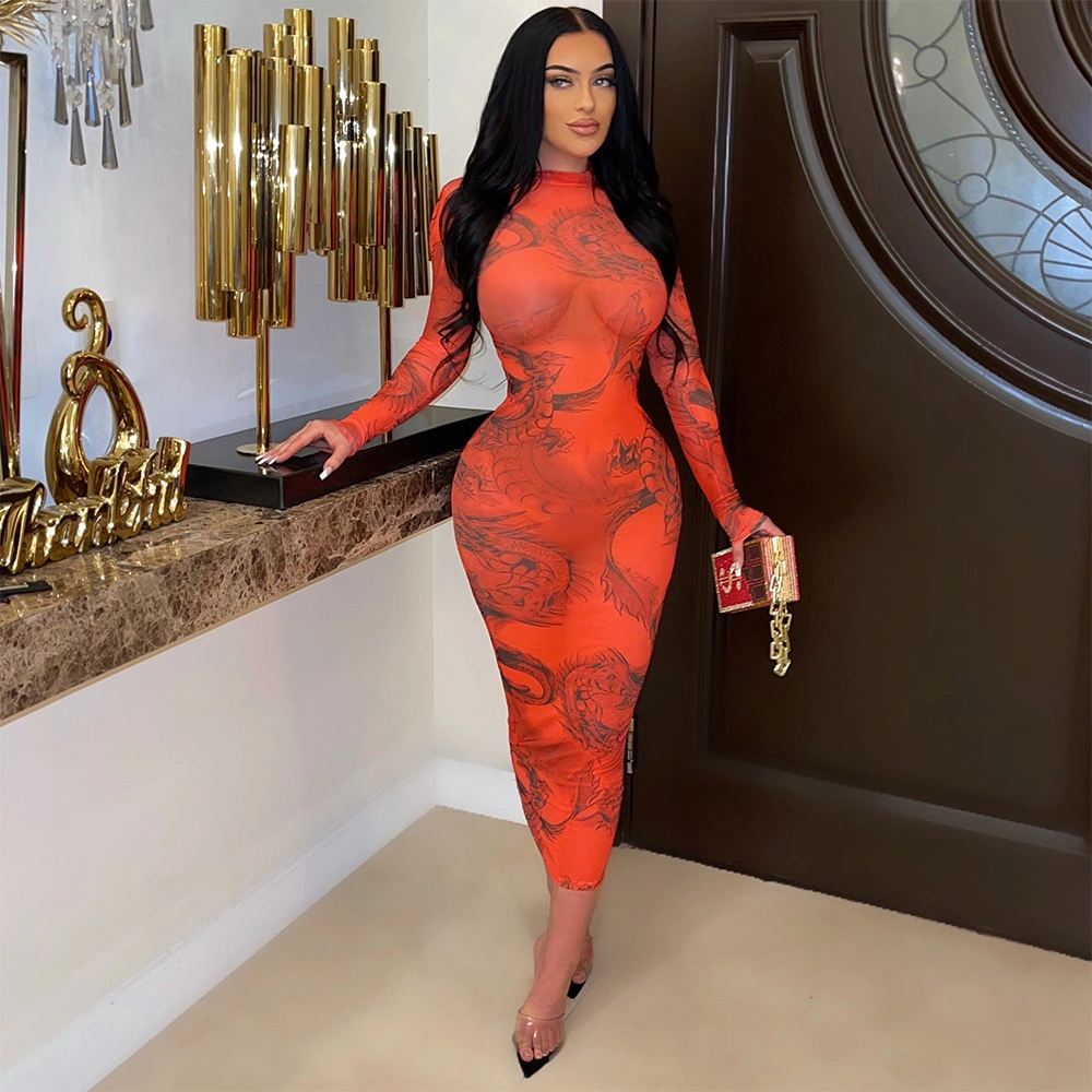 Women's Skinny Mesh Print Sheer Long Sleeve Dress