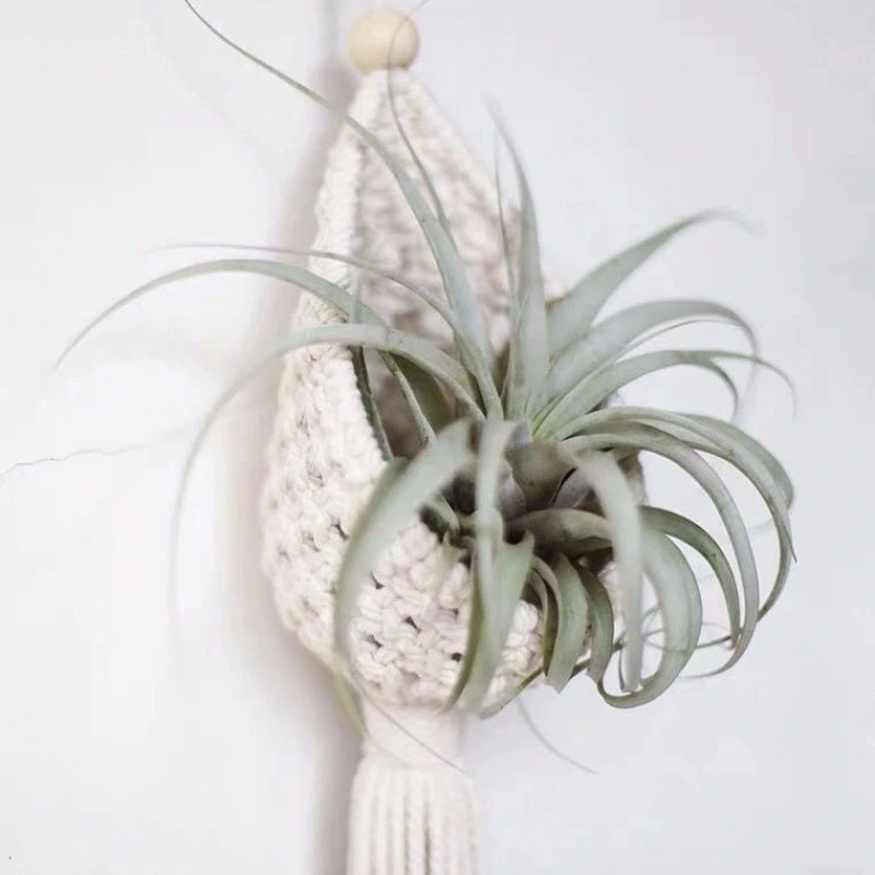 Flower Pot Net Pocket Ins Tillandsia Plant Hanging