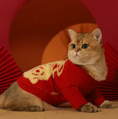 Autumn And Winter Sweaters For Anti Shedding Kittens And Pet