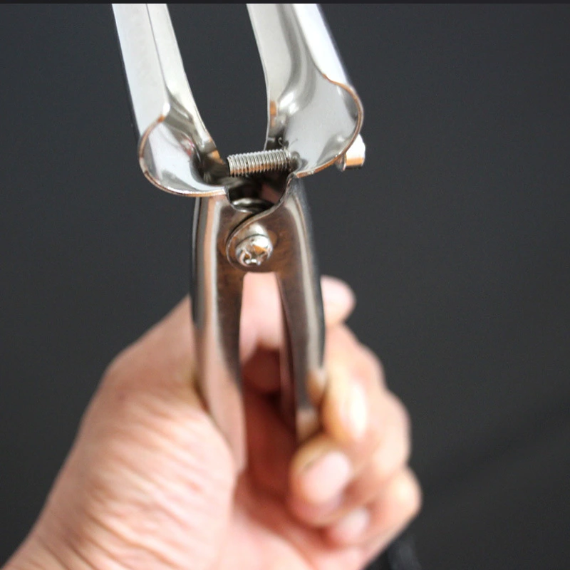 Tubular Stainless Steel Metal Toys
