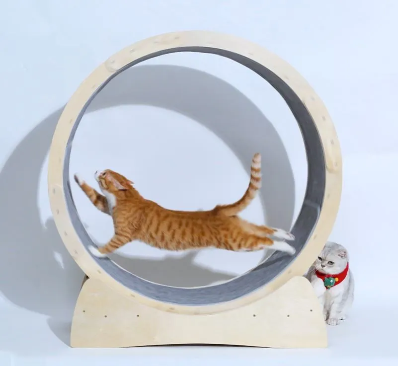 Special Toys For Cat Treadmill Roller