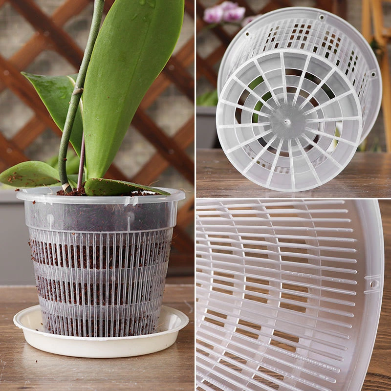 Phalaenopsis Special Root-controlled Flower Pot Transparent Breathable Plastic Cup