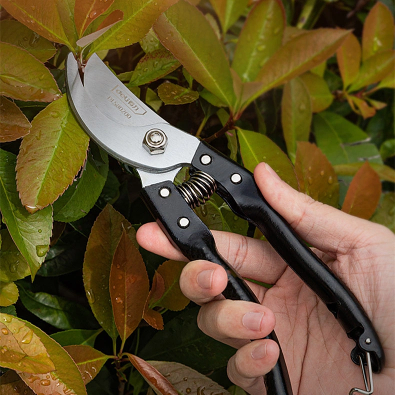 8-inch Pruning Garden Floriculture