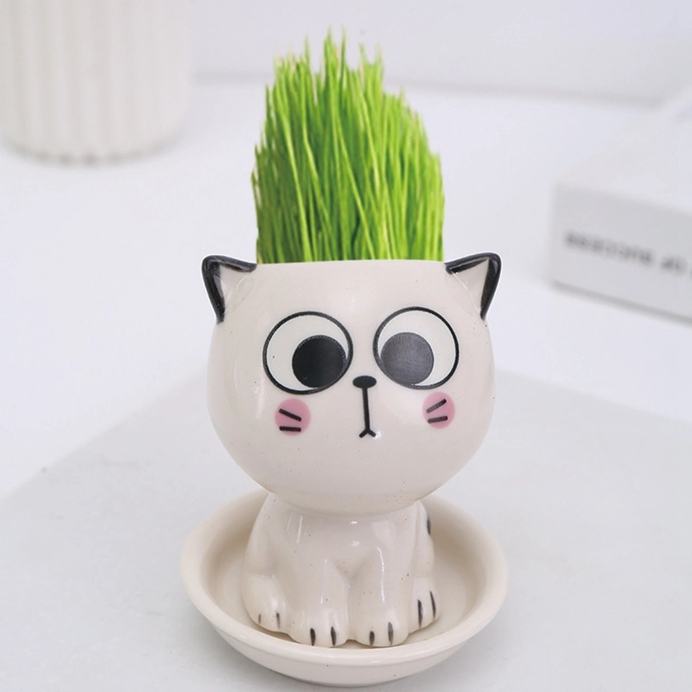 Children Planting Small Potted Plants Decoration Desktop Cute Cat Doll DIY Long Grass Plant