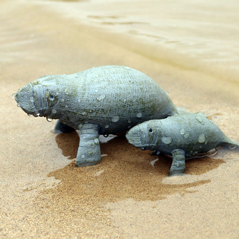 Simulation Marine Life Animal Model Small Manatees