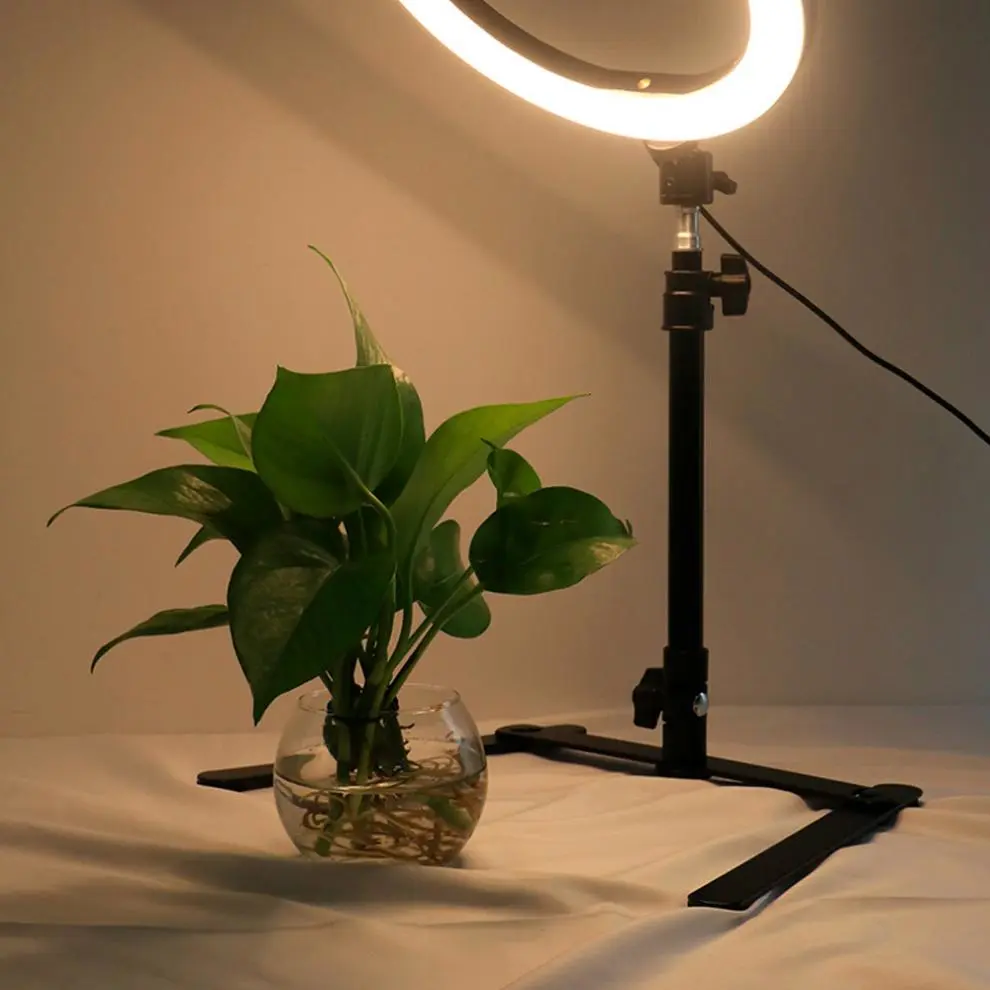 Still Life Shooting Of Tabletop Overhead Stand