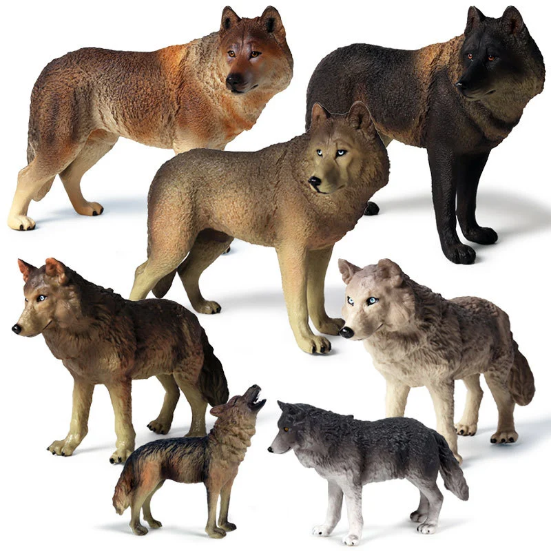 Static Solid Simulation Wild Animal Wolf Model